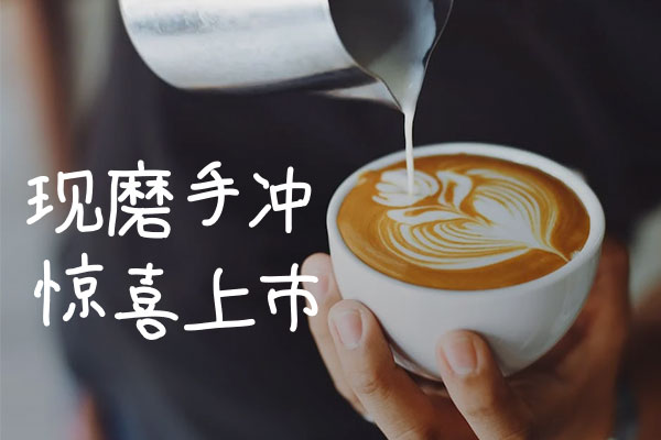 壹城劳拉手书体