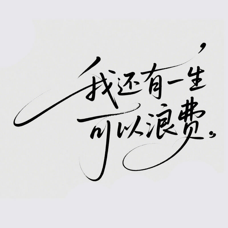 我还有一生可以浪费AI字体设计
